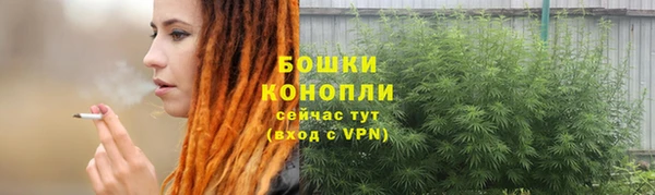 МДПВ Белокуриха