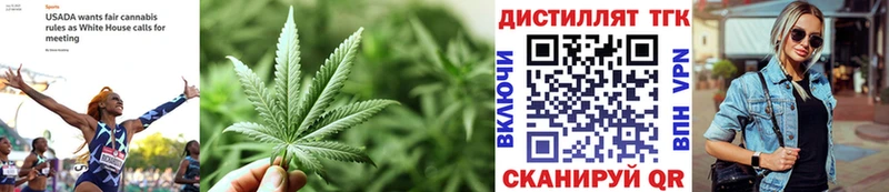 цена наркотик  Верхняя Тура  ТГК гашишное масло 